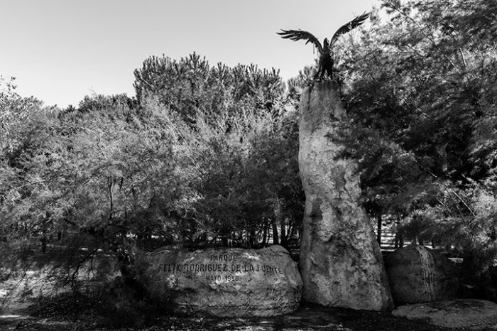 Monumento a Félix Rodríguez de la Fuente - ©JMPhotographia