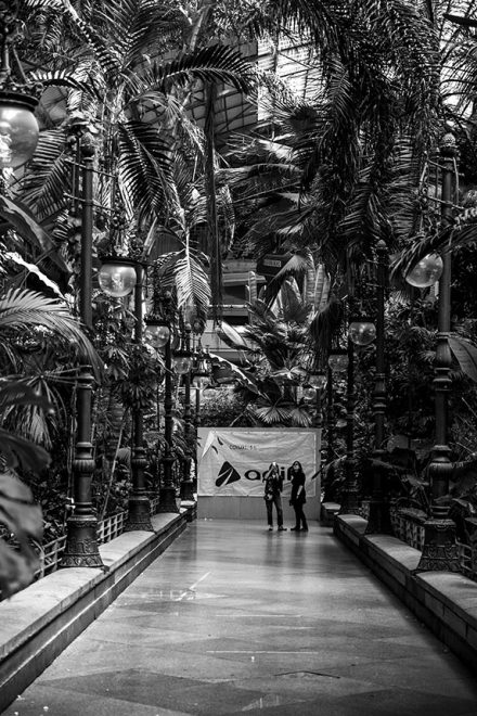 Jardín tropical de la Estación de Atocha - @JMPhotographia