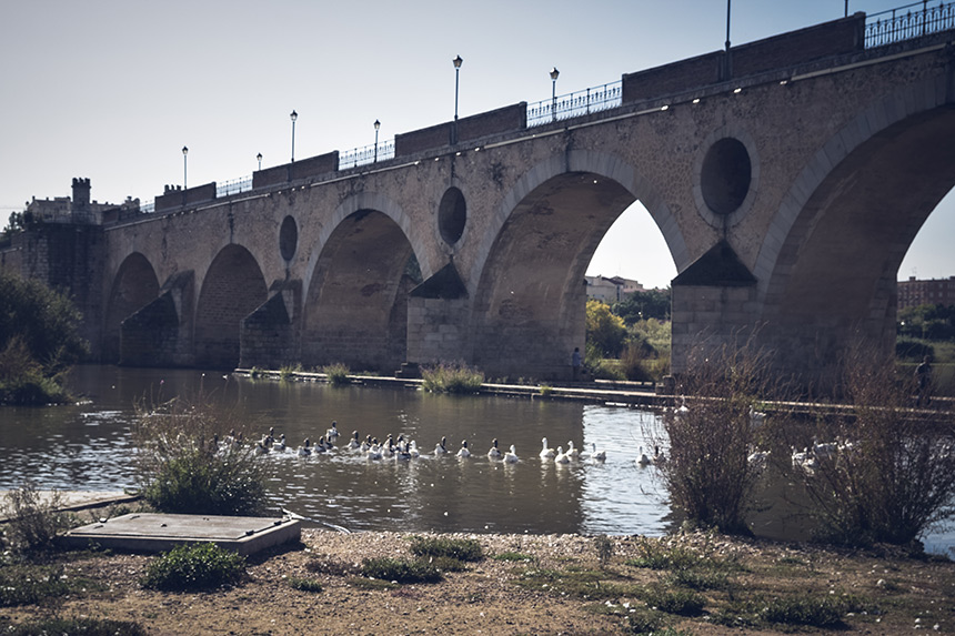 Puente de Palmas sobre el río Guadiana - ©JMPhotographia